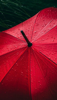 зонт красный капли