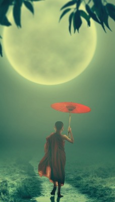 девушка луна зонтик япония туман