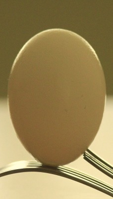 яйцо вилки