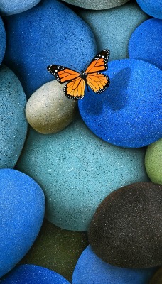 бабочка камни цветные