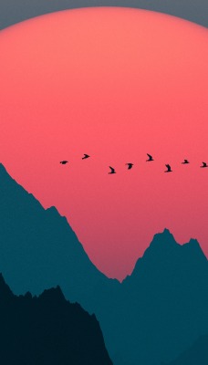 горы вектор минимализм птицы солнце