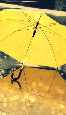 Зонт желтый лужи 