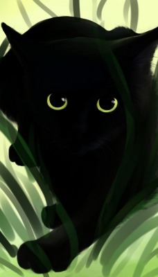 кот черный рисунок