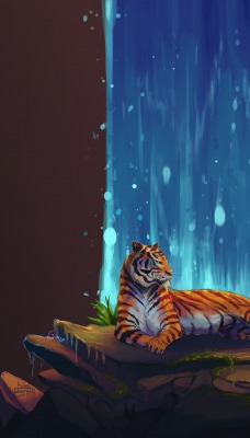 тигр камни водопад