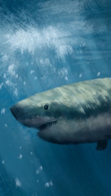 акула рисунок под водой