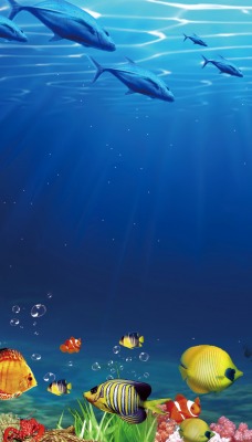океан рыбы подводный мир 3d