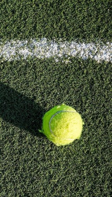 газон линия мяч теннис
