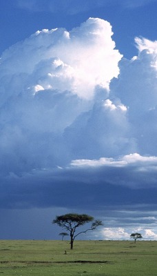 Storm Over the Savannah, Masai Mara National Reserve, Kenya
