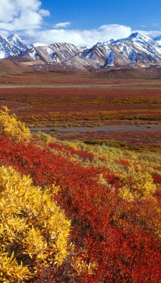 Alaska Range, Denali National Park, Alaska