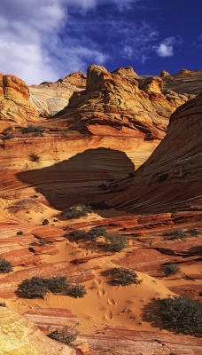 Slickrock Formation, Paria Canyon-Vermillion Cliffs Wilderness Area, Arizona