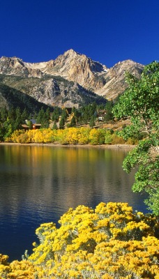 Twin Lakes, Toiyabe National Forest, California