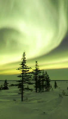 The Northern Lights in Winter, Churchill, Manitoba, Canada