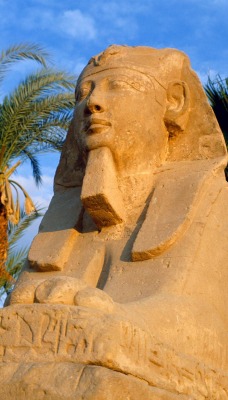 Avenue of Sphinxes, Luxor, Egypt