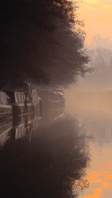 Morning Mist at Sunrise, Godalming, Surrey, England