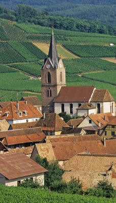 Rodern, Haut-Rhin, Alsace, France