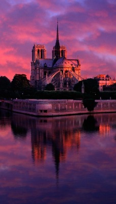 Notre Dame at Sunrise, Paris, France