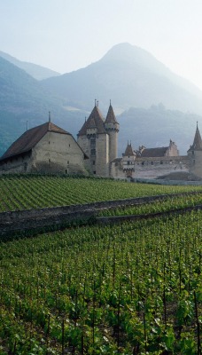 Swiss Countryside