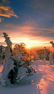 Snow-Covered Trees, Hochharz National Park, Saxony-Anhalt, Germany