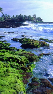 Kona Coast, Big Island, Hawaii