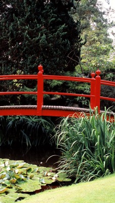 Japanese Garden, County Kildare, Ireland