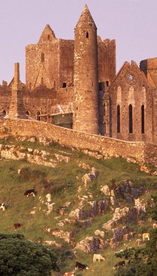 The Rock of Cashel, County Tipperary, Ireland