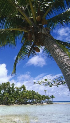 Rangiroa, Tuamotu Islands, French Polynesia