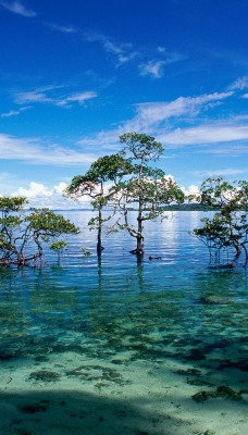 Havelock Island, Andaman and Nicobar Islands, India