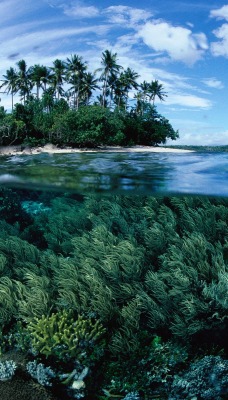 Split Island View, Papua New Guinea