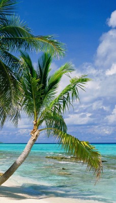 Tepuka Island, Tuvalu