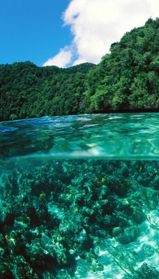 Limestone Island, Palau