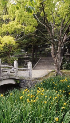 Hagi Castle Garden, Western Honshu, Japan