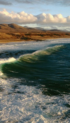 Fuerteventura, Canary Islands, Spain