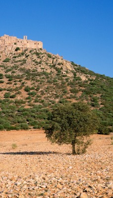 Ruins of Castle-Monastery of Calatrava La Nueva, La Mancha, Spain