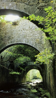 Valle de Aezkoa, Navarre, Spain