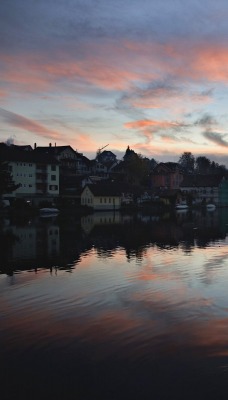 Swans on the Rhine River at Sunset, Schaffhausen, Switzerland