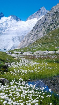 Unteraargletscher, Switzerland