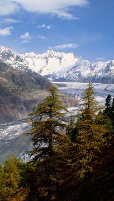 Grosser Aletsch Glacier, Berner Oberland, Switzerland