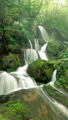 Cliff Branch Falls, Great Smoky Mountains National Park, Tennessee