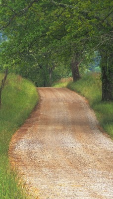 Country Road through Cades Cove, Great Smoky Mountains, Tennessee