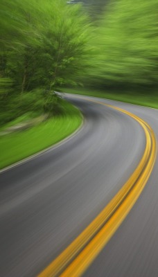 Journey in Motion, Great Smoky Mountains National Park, Tennessee