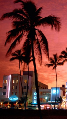 Neon Nightlife, South Beach, Miami, Florida