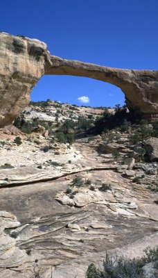 _Owachomo Bridge, Natural Bridges National Monument, Utah