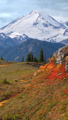 Mount Baker From Yellow Aster Butte, Washington