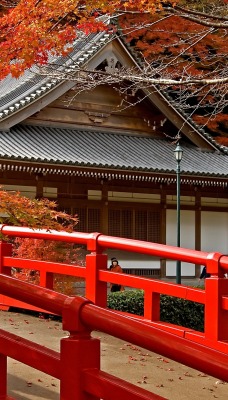 Японский дом с мостиком
