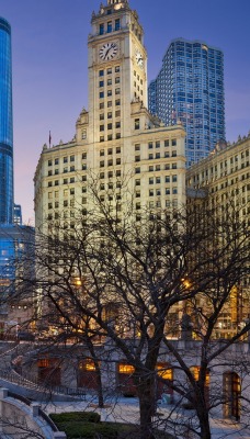 Чикаго США страны архитектура Chicago USA country architecture