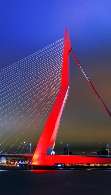 Вантовый мост город ночь