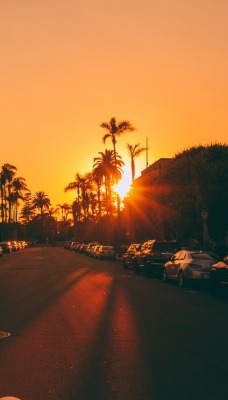 улица дорога автомобили закат пальмы