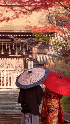 япония пара архитектура сад