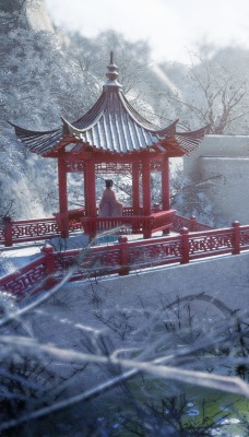 япония мостик зима иней