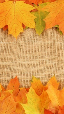 Листья осень ткань